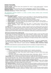 Kompiuterinė komunikacija 12 puslapis