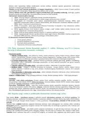 Kompiuterinė komunikacija 13 puslapis