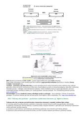 Kompiuterinė komunikacija 17 puslapis