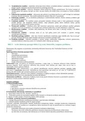 Kompiuterinė komunikacija 19 puslapis