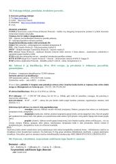 Kompiuterinė komunikacija 3 puslapis