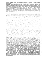 Kompiuterių tinklų pagrindinės temos 11 puslapis