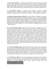 Kompiuterių tinklų pagrindinės temos 7 puslapis