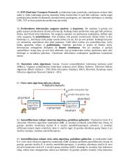 Kompiuterių tinklų pagrindinės temos 10 puslapis