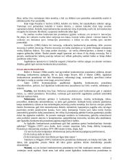 Įmonės konkurencinis pranašumas 2 puslapis