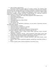 Įmonės konkurencinis pranašumas 11 puslapis