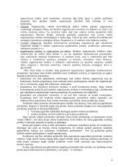 Įmonės konkurencinis pranašumas 4 puslapis