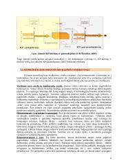 Įmonės konkurencinis pranašumas 6 puslapis