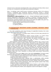 Įmonės konkurencinis pranašumas 7 puslapis