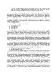 Įmonės konkurencinis pranašumas 8 puslapis