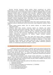 Įmonės konkurencinis pranašumas 10 puslapis