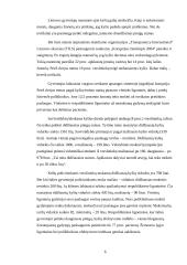 Korupcija Lietuvos Respublikoje 6 puslapis