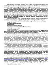 Kredito sistema 2 puslapis