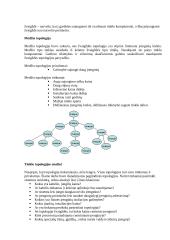 LAN topologijos 10 puslapis