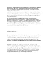 Klasikinis ir šiuolaikinis liberalizmas 3 puslapis