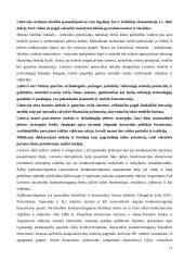 Lietuva ir Europos Sąjunga (ES): ekonomikos augimo prielaidos strateginėje perspektyvoje 15 puslapis