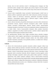 Lietuva ir Europos Sąjunga (ES): ekonomikos augimo prielaidos strateginėje perspektyvoje 19 puslapis