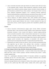 Lietuva ir Europos Sąjunga (ES): ekonomikos augimo prielaidos strateginėje perspektyvoje 20 puslapis