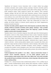 Lietuva ir Europos Sąjunga (ES): ekonomikos augimo prielaidos strateginėje perspektyvoje 3 puslapis