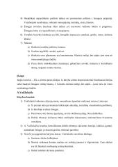 Lietuvių literatūros pagrindiniai autoriai 2 puslapis