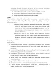 Lietuvių literatūros pagrindiniai autoriai 13 puslapis