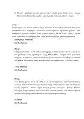 Lietuvių literatūros pagrindiniai autoriai 14 puslapis