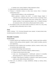 Lietuvių literatūros pagrindiniai autoriai 3 puslapis