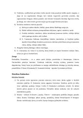 Lietuvių literatūros pagrindiniai autoriai 4 puslapis