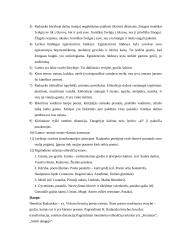 Lietuvių literatūros pagrindiniai autoriai 5 puslapis