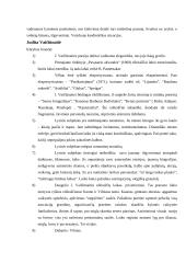 Lietuvių literatūros pagrindiniai autoriai 9 puslapis