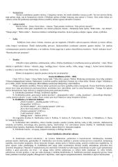 Lietuvių vaikų literatūros atsiradimas ir raida 14 puslapis