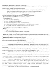 Lietuvių vaikų literatūros atsiradimas ir raida 3 puslapis