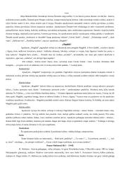 Lietuvių vaikų literatūros atsiradimas ir raida 4 puslapis