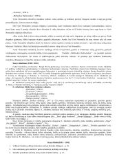 Lietuvių vaikų literatūros atsiradimas ir raida 9 puslapis