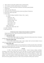 Lietuvių vaikų literatūros atsiradimas ir raida 10 puslapis