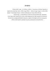 LR darbuotojų saugos bei sveikatos įstatymo nagrinėjimas 2 puslapis