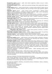 Lietuvos švietimą reglamentuojančių dokumentų apžvalga 2 puslapis