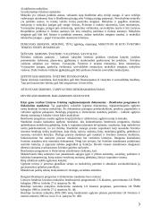 Lietuvos švietimą reglamentuojančių dokumentų apžvalga 3 puslapis