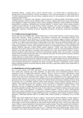 Lietuvos teisės istorija - plati teorija 14 puslapis