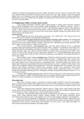 Lietuvos teisės istorija - plati teorija 15 puslapis