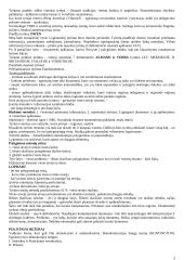 Lyginamosios politikos konspektas 2 puslapis