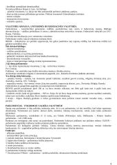 Lyginamosios politikos konspektas 4 puslapis