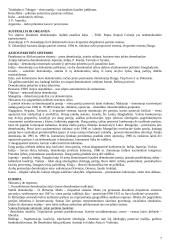 Lyginamosios politikos konspektas 7 puslapis