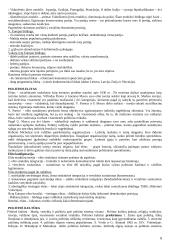 Lyginamosios politikos konspektas 8 puslapis