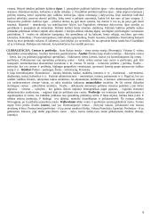 Lyginamosios politikos konspektas 9 puslapis