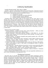 Išsamus pasiruošimas literatūros egzaminui 2 puslapis