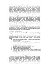 Išsamus pasiruošimas literatūros egzaminui 11 puslapis