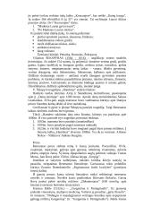 Išsamus pasiruošimas literatūros egzaminui 12 puslapis