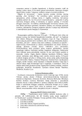 Išsamus pasiruošimas literatūros egzaminui 13 puslapis