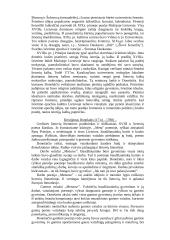 Išsamus pasiruošimas literatūros egzaminui 18 puslapis